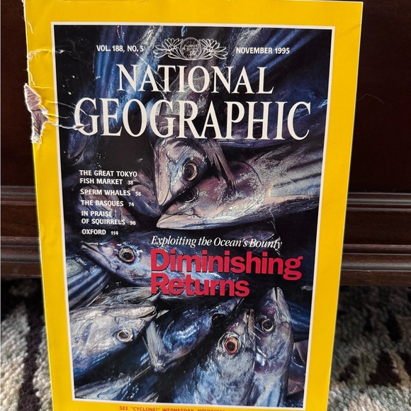 National Geographic Complete 1995 Issues with Maps - Picture 12 of 13